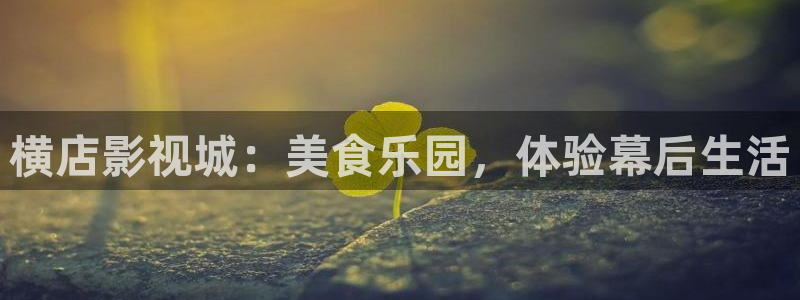 星空影视免费看