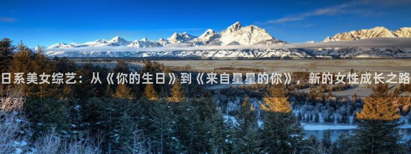 窝窝网电视剧电影星空网