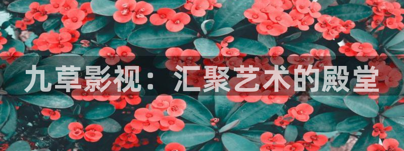 星空影院怎么免费看高清