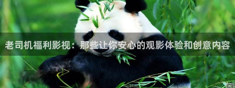 星空影院免费版app